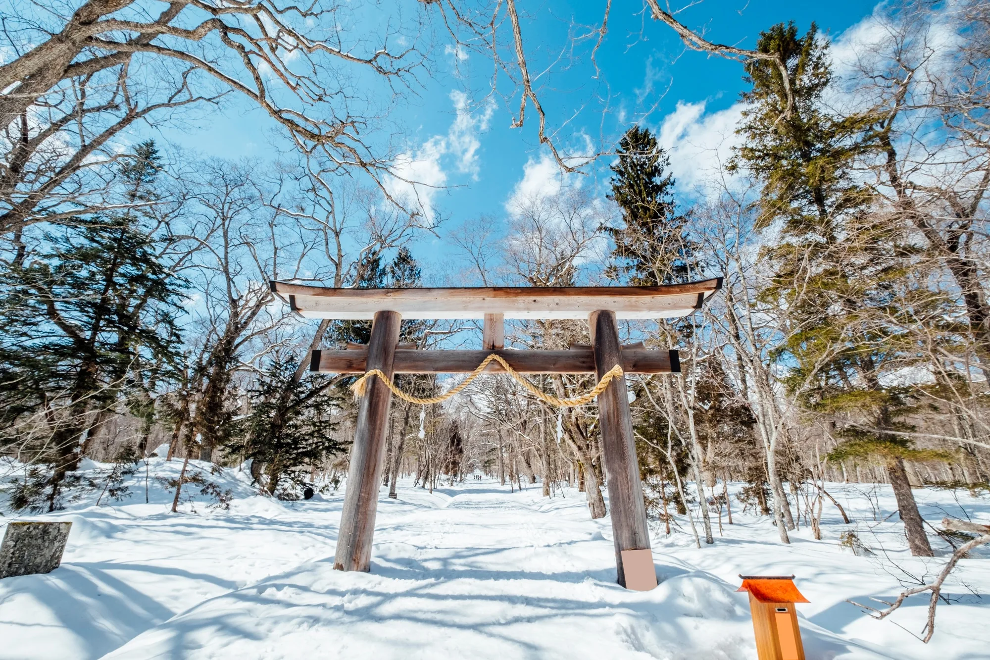 A torii gate pathway at a Kyoto shrine